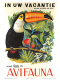 Avifauna Bird Park: Holland c1951