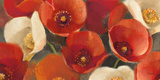 Poppies Bloom I