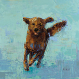 Golden Dog No 5