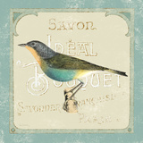 Parisian Bird II