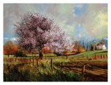 Spring Blossoms