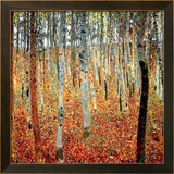 Forest of Beech Trees  c1903