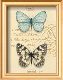 Duet Papillon