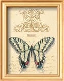 Filigree Papillon