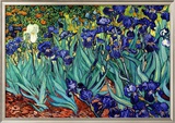Irises  Saint-Remy  c1889