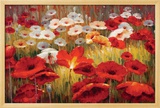 Meadow Poppies II