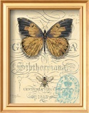 Honeybee Papillon