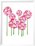 Pink Allium