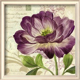 Study in Purple II
