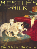 Nestles Milk