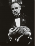 The Godfather-Cat B&W
