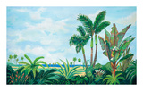 Barbados Palms