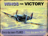Kevin Walsh - Wings for Victory