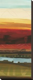 Skyline Symmetry Panel II