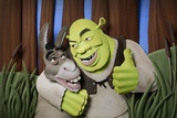 Shrek: Shrek and Donkey