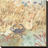 Floral Frenzy Coastal I