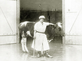 Female Butcher with a Cow  1925