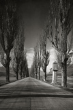 Old Country Road in Tyrol  1931