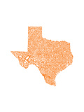 Typographic Texas Orange