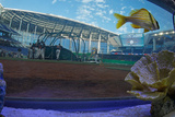 Miami  FL - December 09: Miami Marlins Ballpark - Exterior