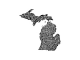 Typographic Michigan