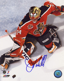 John Vanbiesbrouck Panthers Overhead Save Photo