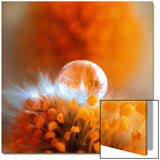 Eternal Flame