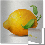 LiMoNe