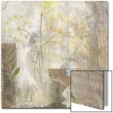 Toile et Coton