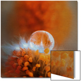 Eternal Flame