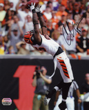 Chad Johnson Cincinnati Bengals -Backward Catch-