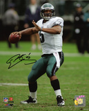 Donovan McNabb Philadelphia Eagles -Looking Downfield