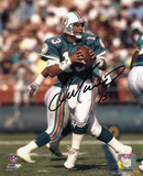 Dan Marino Miami Dolphins - Dropping Back at Home