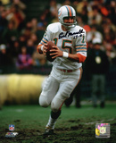 Earl Morrall Miami Dolphins with 72 17-0 Inscription