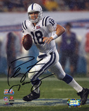 Peyton Manning Indianapolis Colts - Super Bowl XLI Action