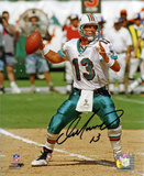 Dan Marino Miami Dolphins - Passing