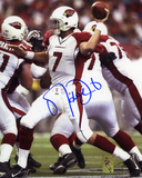 Matt Leinart Arizona Cardinals