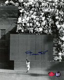 Willie Mays New York Giants - The Catch