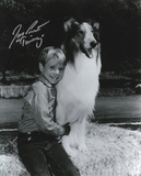 Jon Provost -Lassie with Timmy Inscription Autographed TV Photo (Hand Signed Collectable)