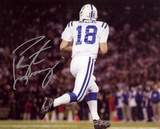 Peyton Manning Indianapolis Colts