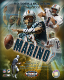Dan Marino Miami Dolphins 2005 Hall of Fame Collage