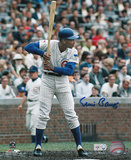 Ernie Banks Chicago Cubs Autographed Photo (Hand Signed Collectable)