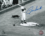 Ron Santo Chicago Cubs - Black Cat
