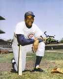 Ernie Banks Chicago Cubs  Cardboard