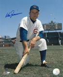 Don Zimmer Chicago Cubs Autographed Photo (Hand Signed Collectable)