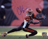 Chad Johnson Cincinnati Bengals - Diving For Catch