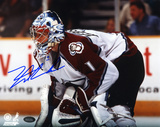 David Aebischer Colorado Avalanche