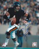 Steve Fuller Chicago Bears