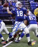 Peyton Manning Indianapolis Colts - Action vs 49ers
