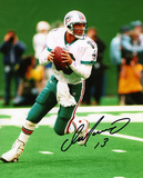 Dan Marino Miami Dolphins - Passing